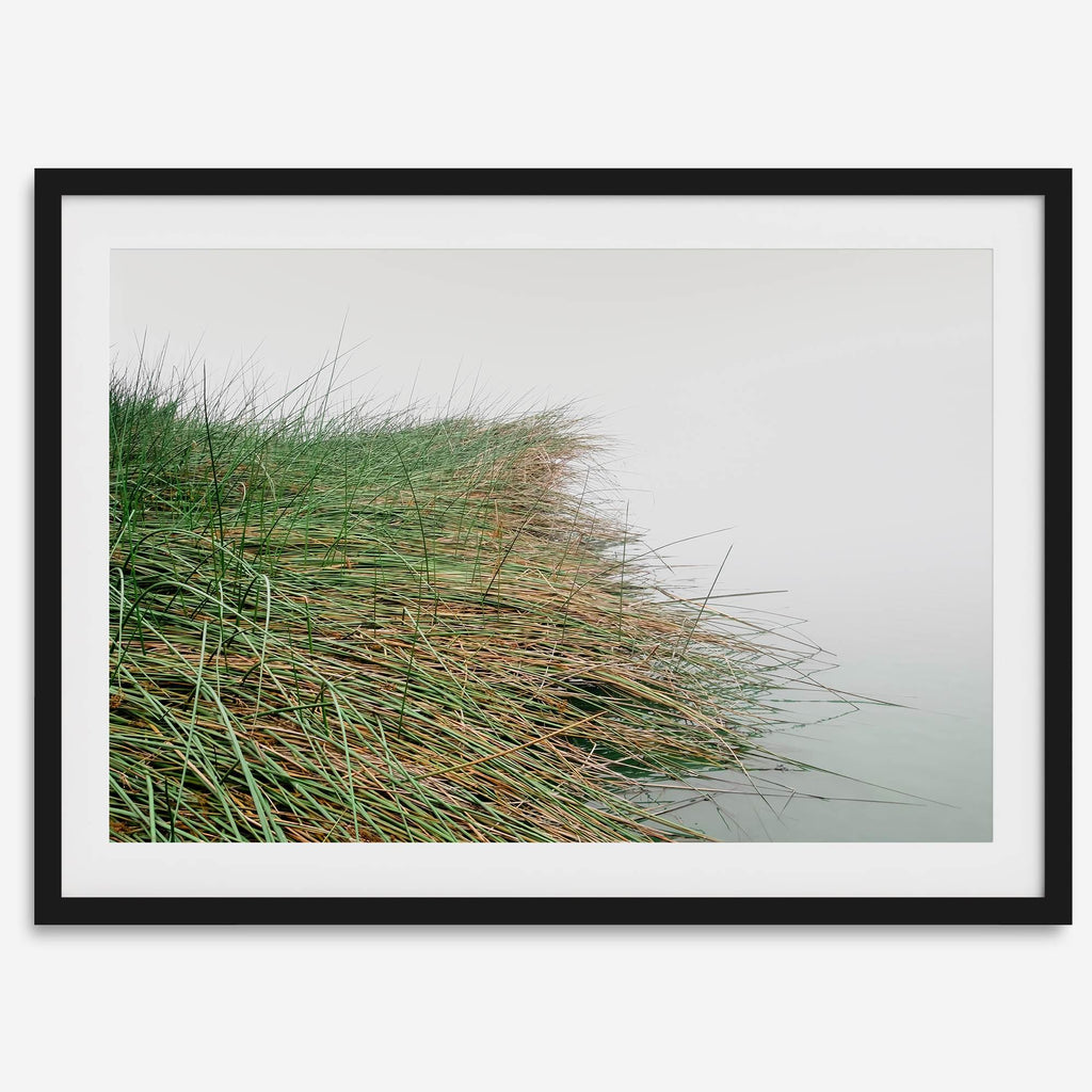 Coastal Calm
