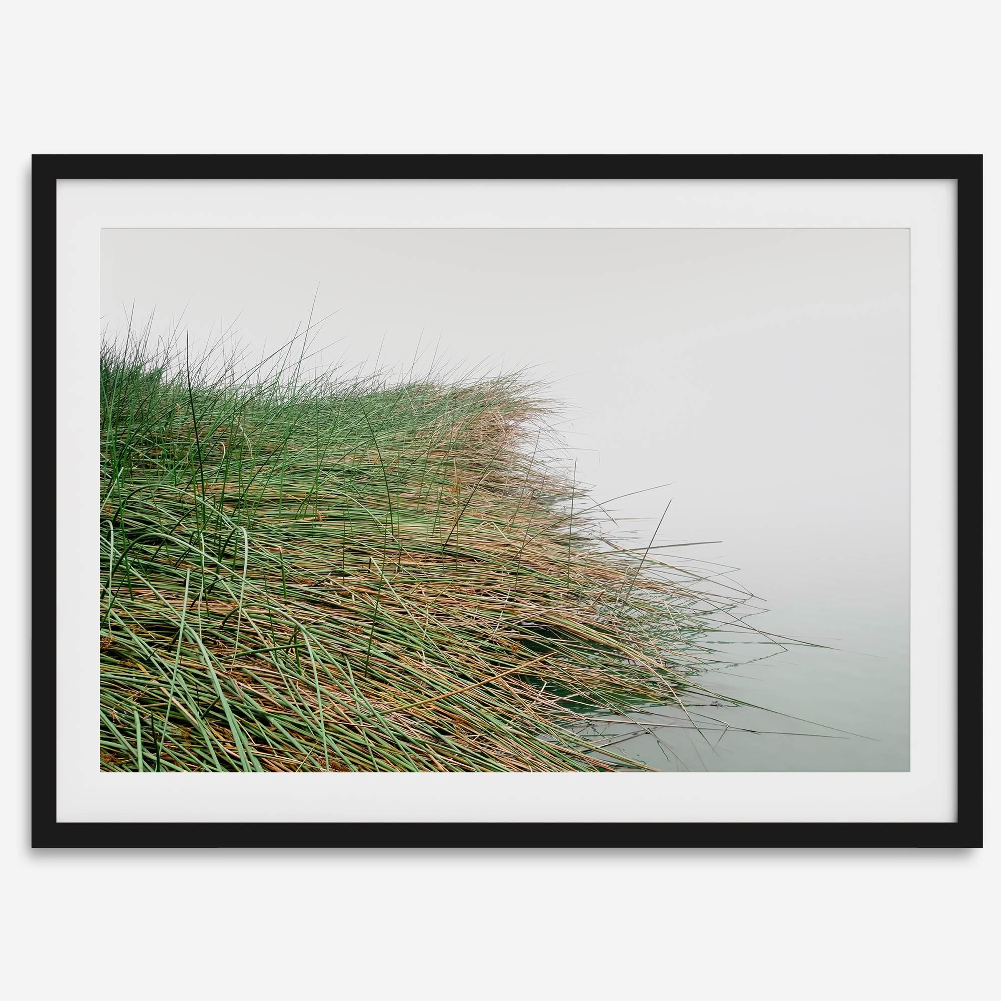 Coastal Calm