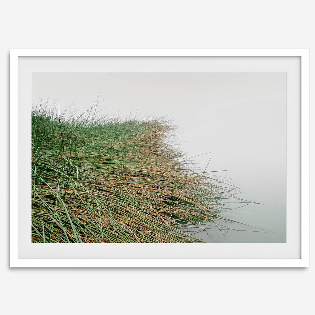 Coastal Calm
