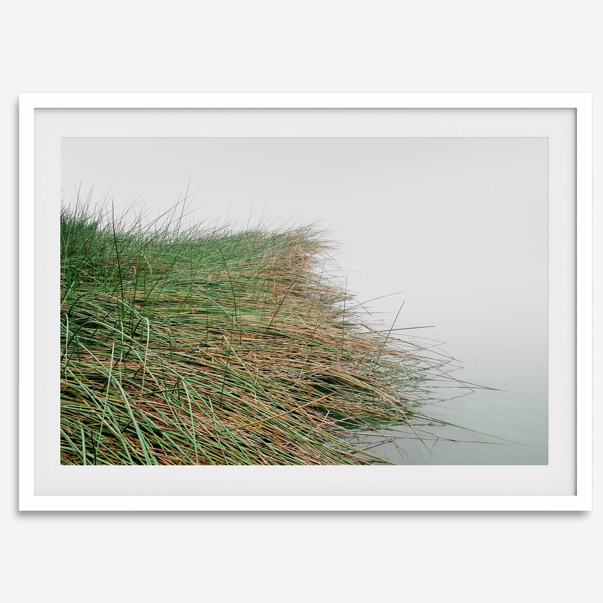 Coastal Calm