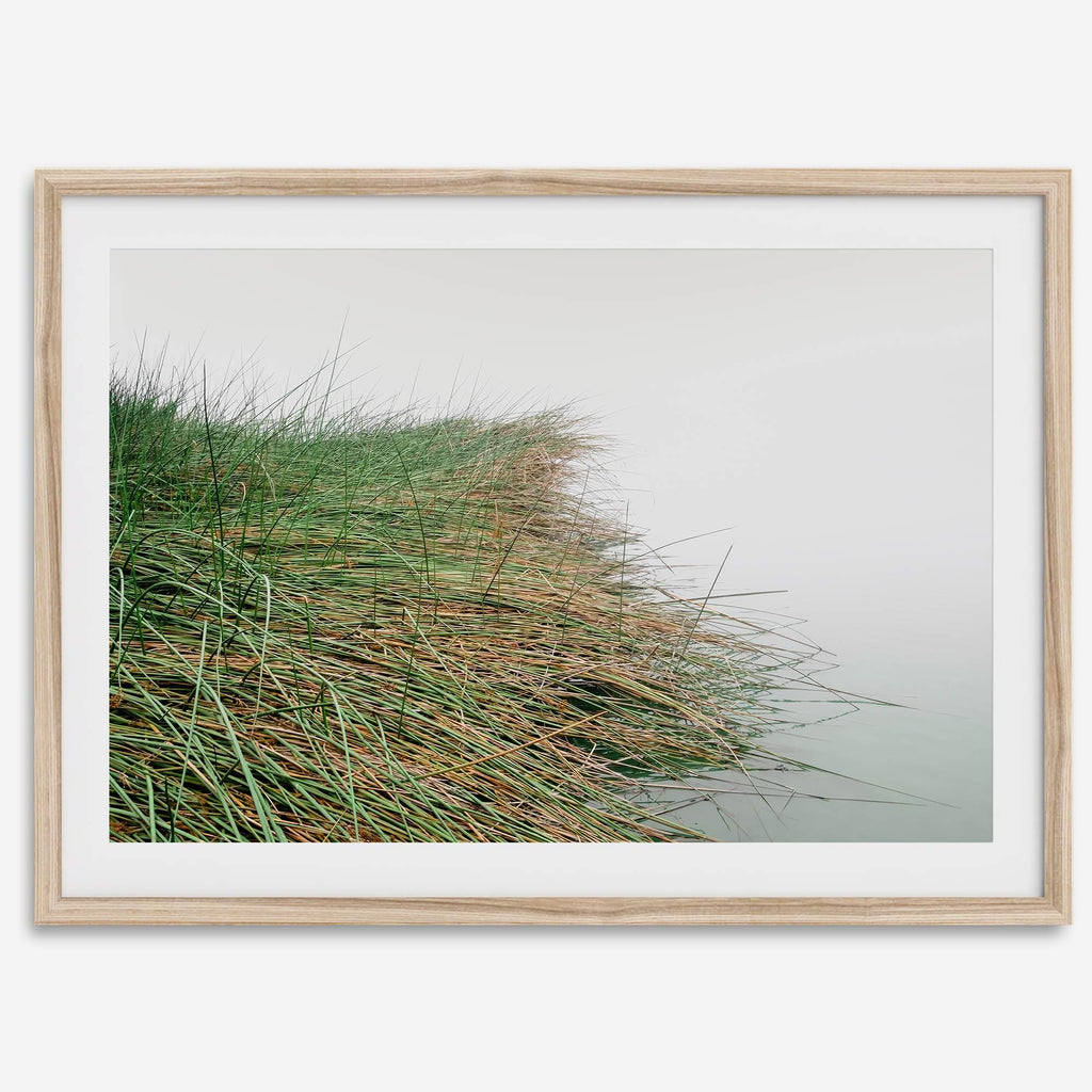 Coastal Calm