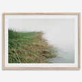Coastal Calm